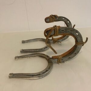 Rustic Silver Horseshoe Decor